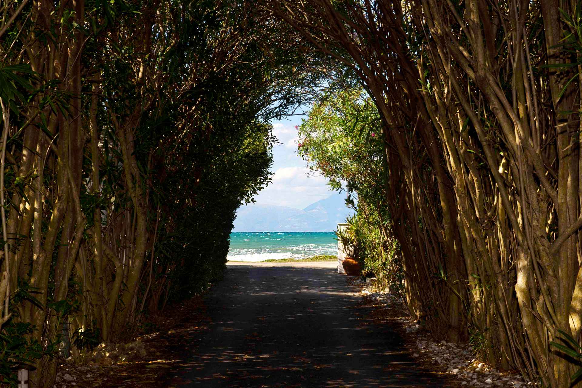 Alexandra On The Beach 
