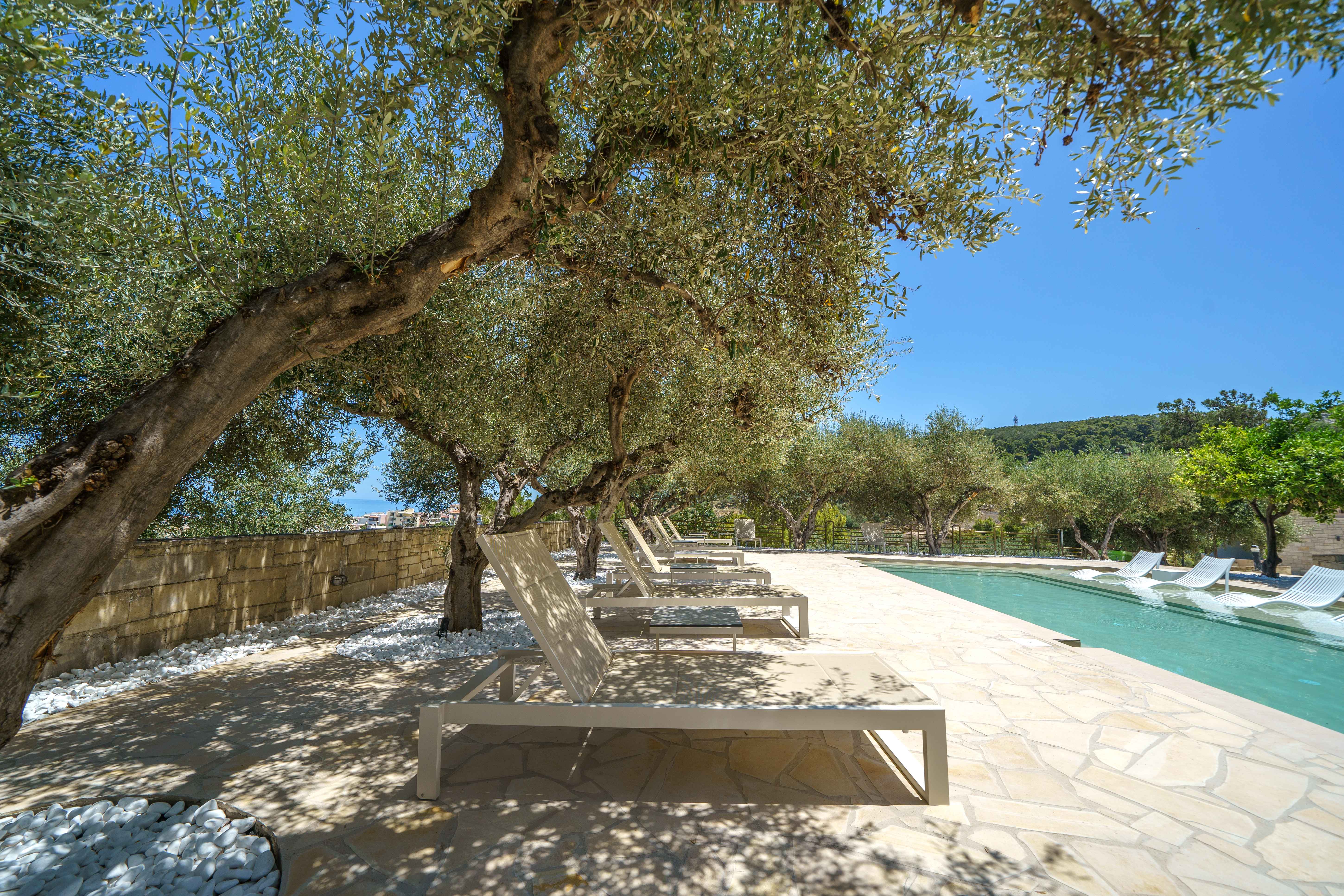 Forest Park Hotel Crete 