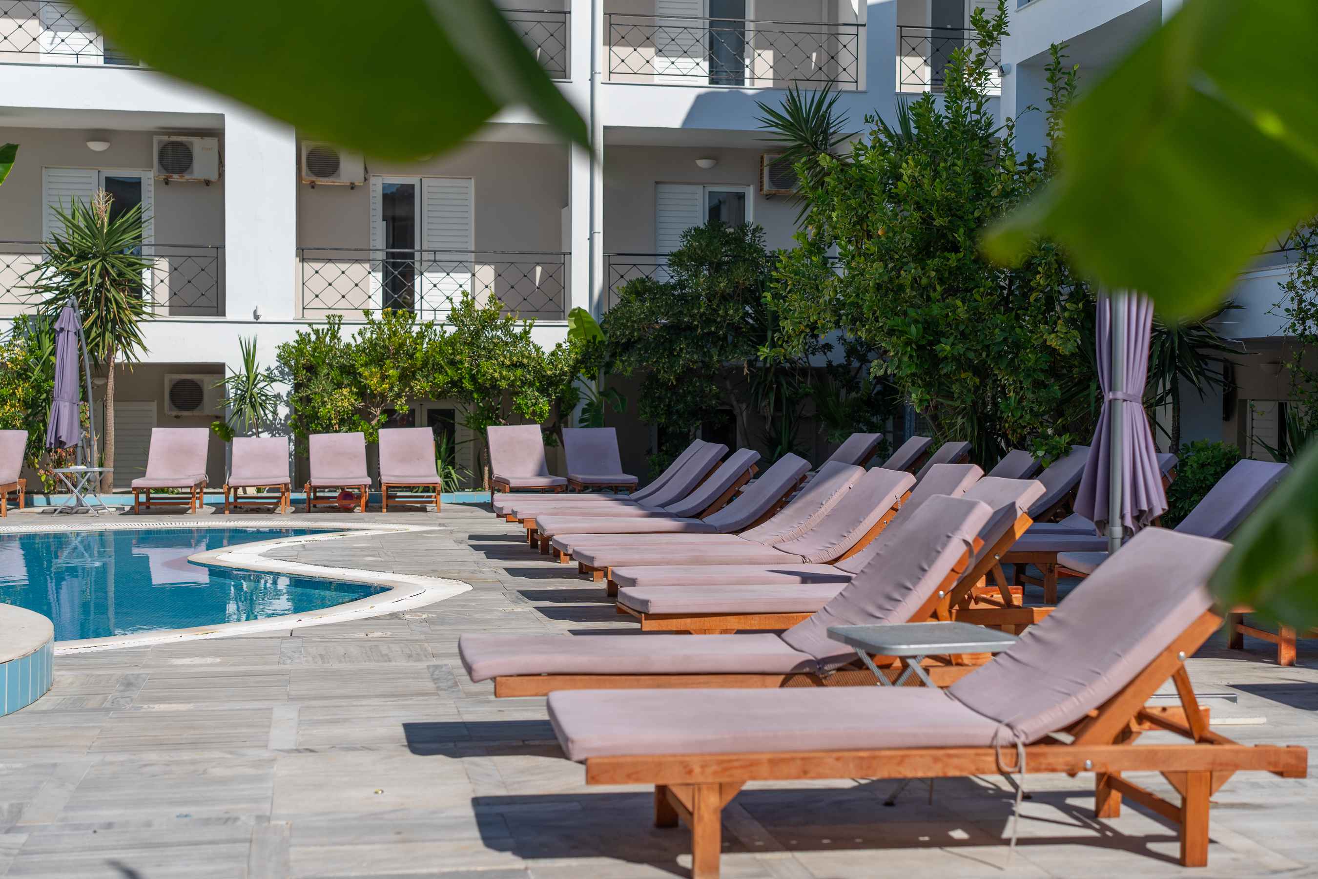 dal travel Mojo Hotel